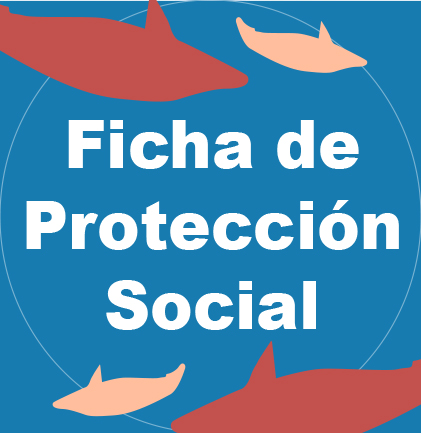 FichaProteccionSocial2